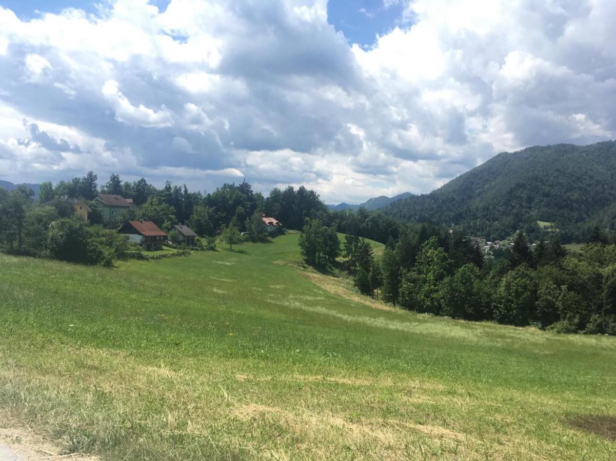 B&B Černe Polhov Gradec Exterior foto