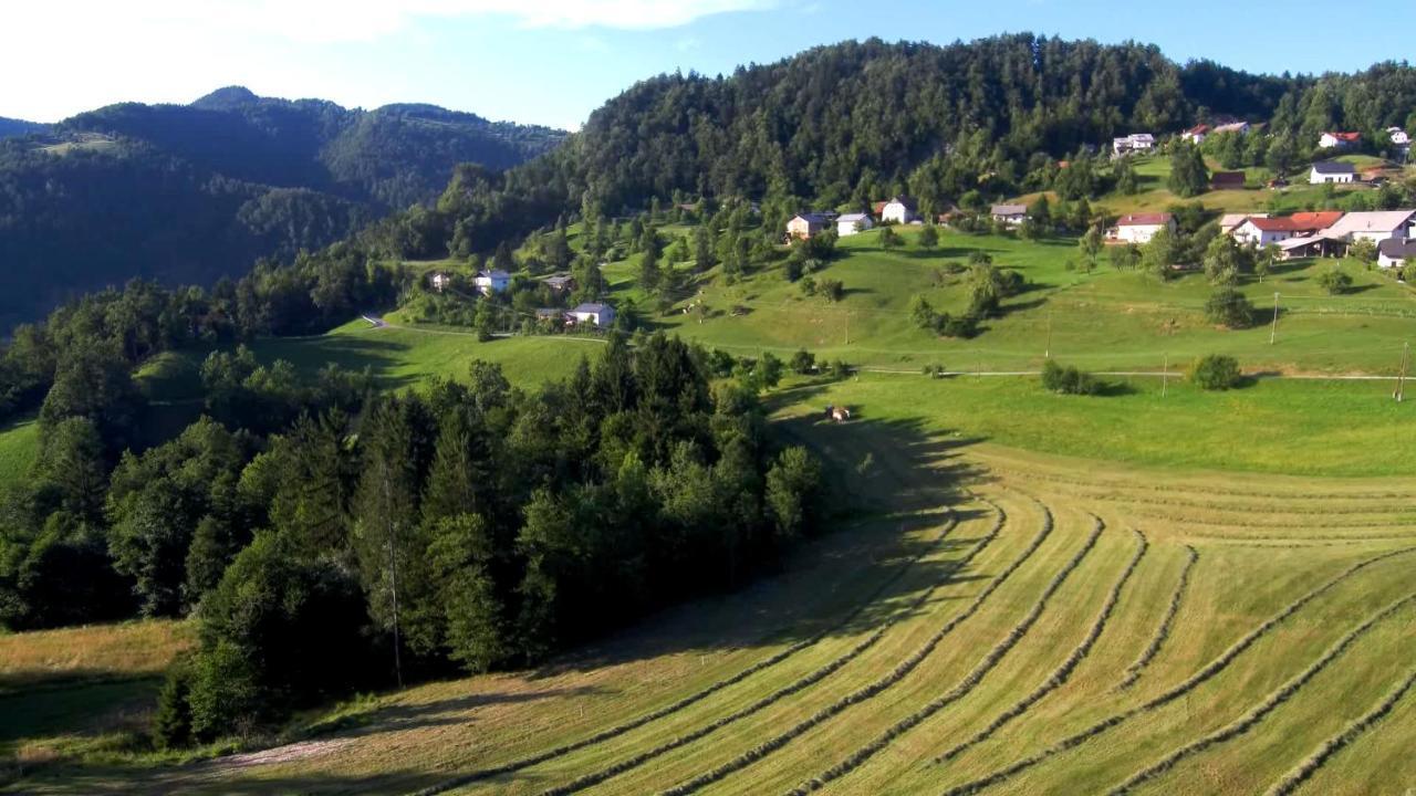 B&B Černe Polhov Gradec Exterior foto